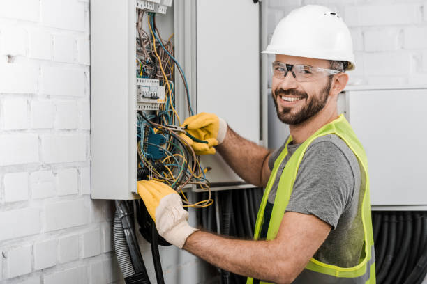 Best Electrician for Home Renovation  in Palmyra, WI