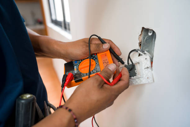 Best Residential Electrician Services  in Palmyra, WI