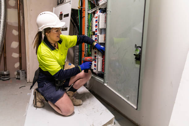 Best Electrical Repair Services  in Palmyra, WI