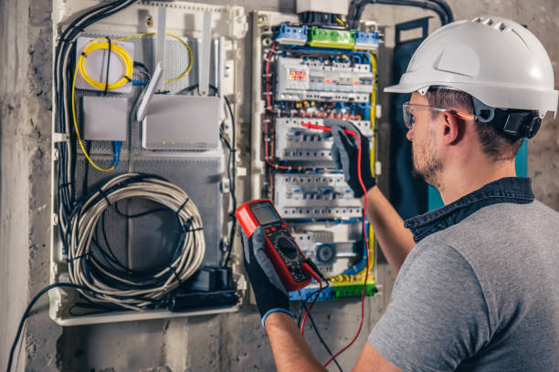 Best Electrician for Home Renovation  in Palmyra, WI