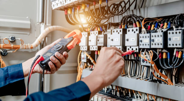 Best 24-Hour Electrician  in Palmyra, WI