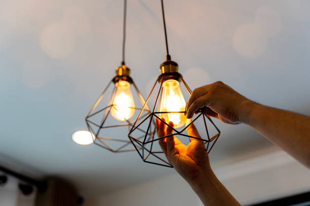 Best Best Electricians Near Me  in Palmyra, WI