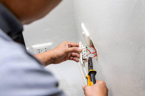 Best Affordable Electrician  in Palmyra, WI