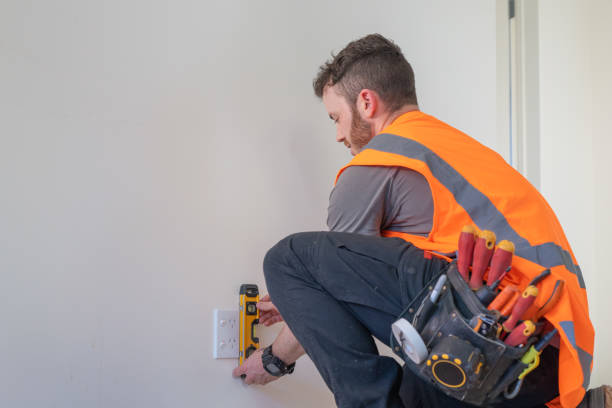 Best Home Electrical Repair  in Palmyra, WI