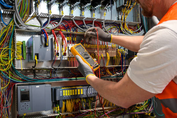 Best Affordable Emergency Electrician  in Palmyra, WI