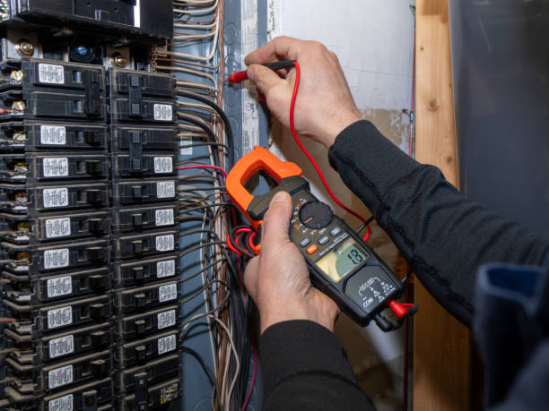 Best Electrical Installation Contractor  in Palmyra, WI
